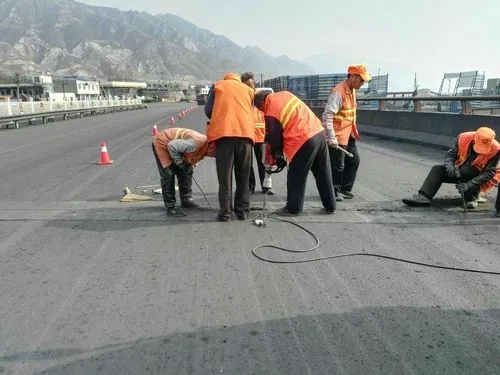 中山道路桥梁病害治理